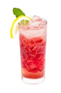 Watermelon Sparkling Drink